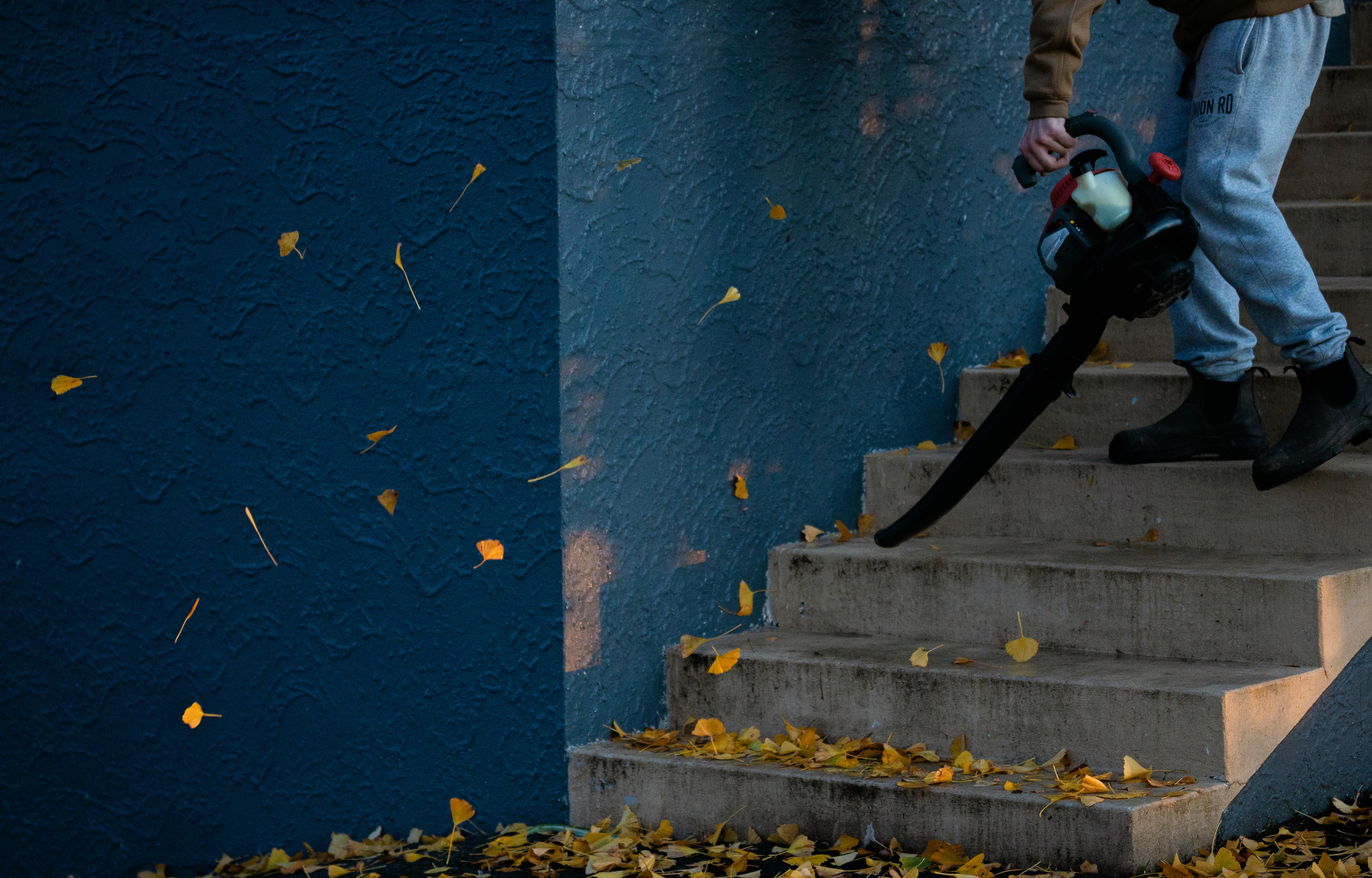 Leaf Blower