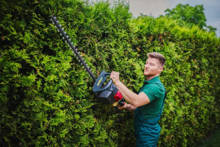 Hedge Trimmer